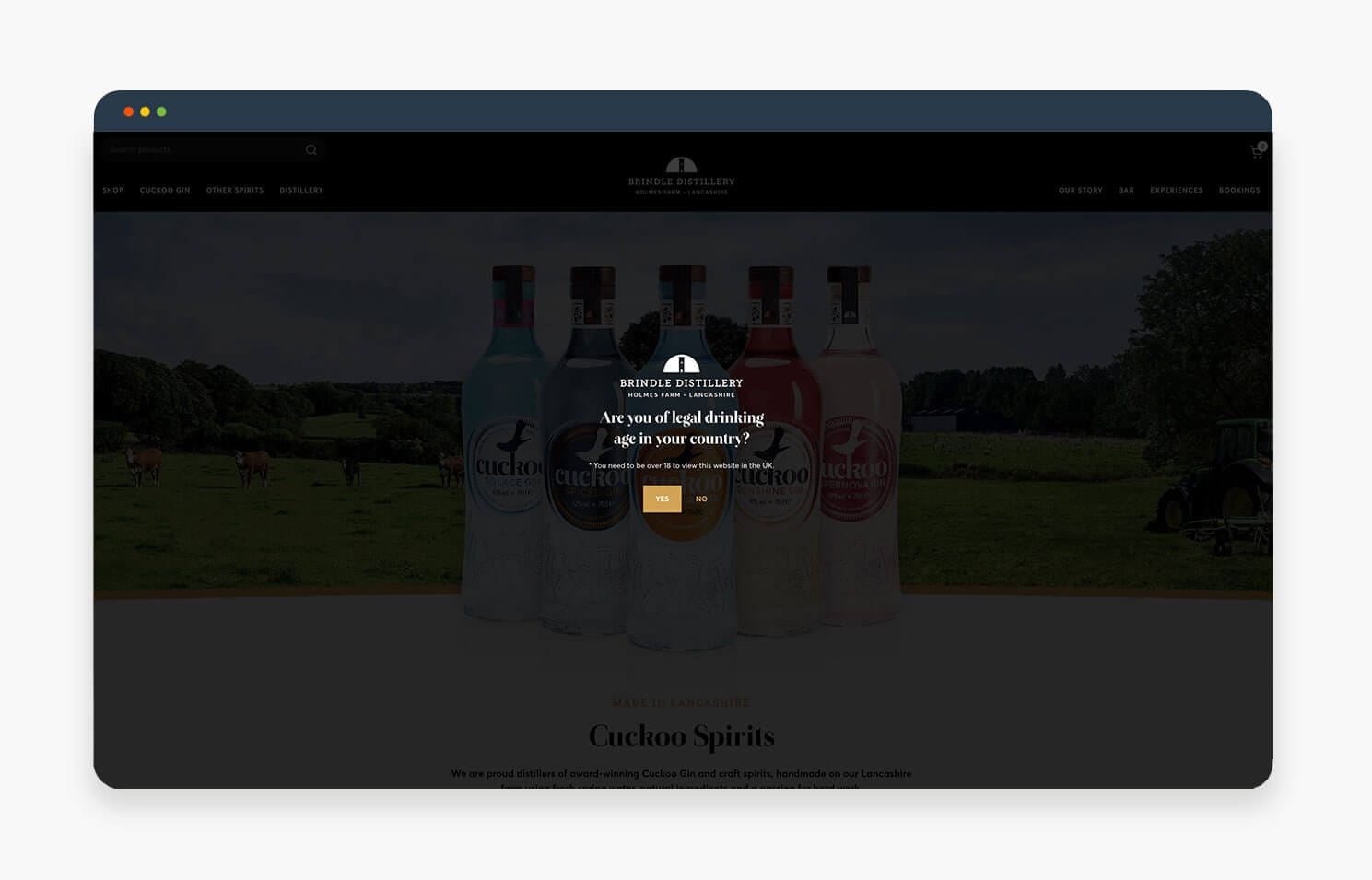 Cuckoo Website Age Popup